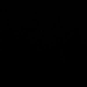 Meet your Posher, Emma🪩💖